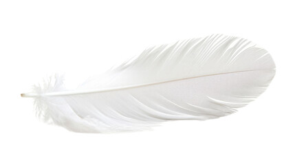white feather