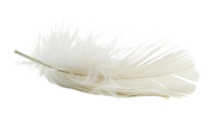 white feather