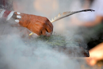 Human hands hold wooden dish with Australian plant branches, the smoke ritual rite at a indigenous...