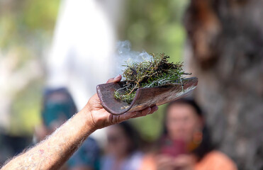 Human hands hold wooden dish with Australian plant branches, the smoke ritual rite at a indigenous...