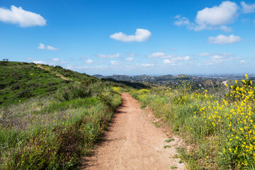 Santiago Oaks Regional Park hiking trail in the Anaheim Hills community of Orange County California.