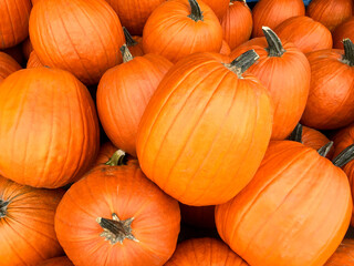 Pumpkins for sale at local market in Montreal