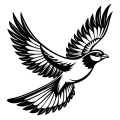           Flying bird logo icon silhouette vector illustration.
