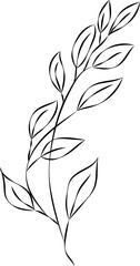 Aesthetic Leaf Branch Outline, perfect for adding a touch of natural sophistication to any design project