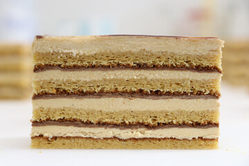 コーヒーとチョコとナッツプラリネクリームとスポンジケーキの層が美しいケーキの断面