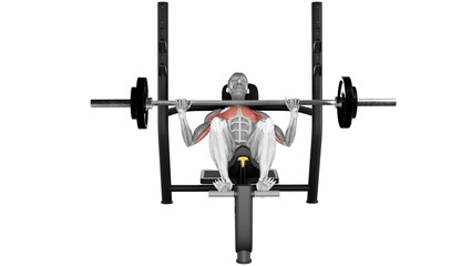 Barbell incline bench press - front view - position 2