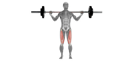 Barbell front lunge - front view - position 1