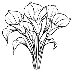 Calla Lily Flower Bouquet outline illustration coloring book page design, Calla Lily Flower Bouquet black and white line art drawing coloring book pages for children and adults