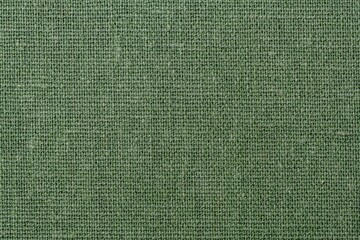 Fototapeta premium Green woven fabric texture background