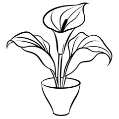 Calla Lily flower on the vase outline illustration coloring book page design, Calla Lily flower on the vase black and white line art drawing coloring book pages for children and adults