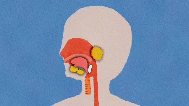 Eating And Digestive system : Cute Hand Painting Illustration with Paper Texture