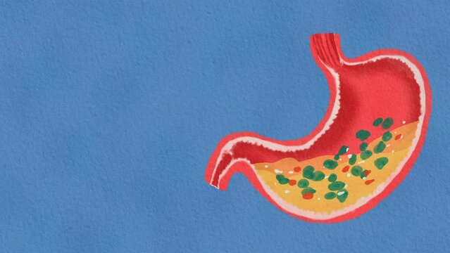 Digestive system Background: Stomach in water color painting style for children