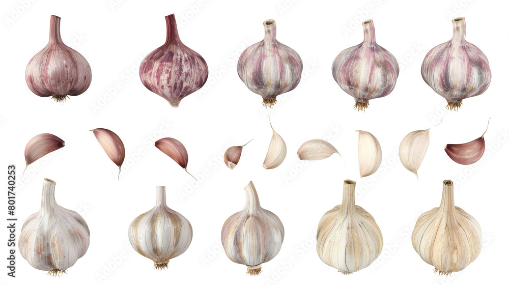 Poster garlic