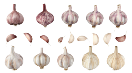 garlic