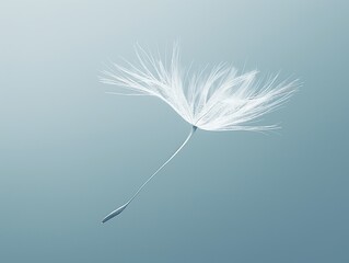A single dandelion seed floats against a serene blue gradient background.