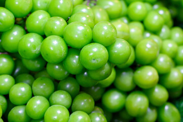 shine muscat green grape for sale in fruits market