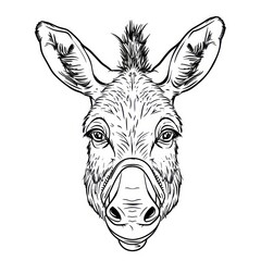 donkey face hand draw line, logo designblack and white, white background