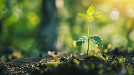 tree roots deep and wide strong and sustainable growth nature