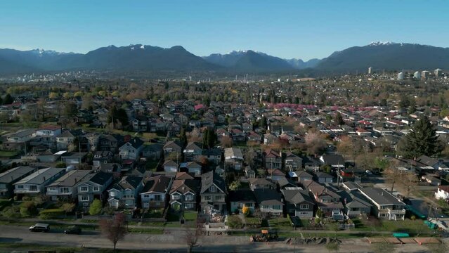 aerial shot over vancouver city neighborhood dunring cherry blossom season with the mountains in the background on a sunny day, burnaby suburban area, british columbia, canada