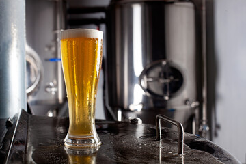 Tall blonde ale pilsner style glass resting on top of stainless steel brewery equipment