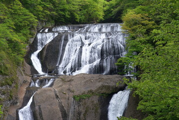 茨城県太子町の袋田の滝