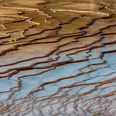 The ground at the Grand Prismatic geysers in Yellowstone National Park.