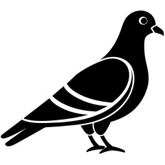 Pigeon logo icon illustration