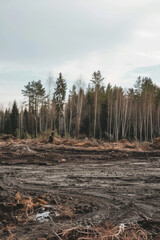 Deforestation Landscape with Barren Land and Sparse Trees Under Cloudy Sky