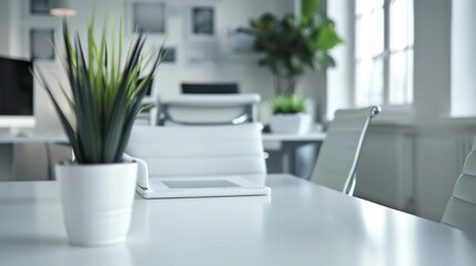 office environment, minimal neutral background