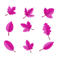 Flat design pink leaves pack on white background