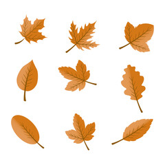 Naklejka premium Flat design yellow leaves pack on white
