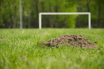 Football pitch with large mole hole in foreground