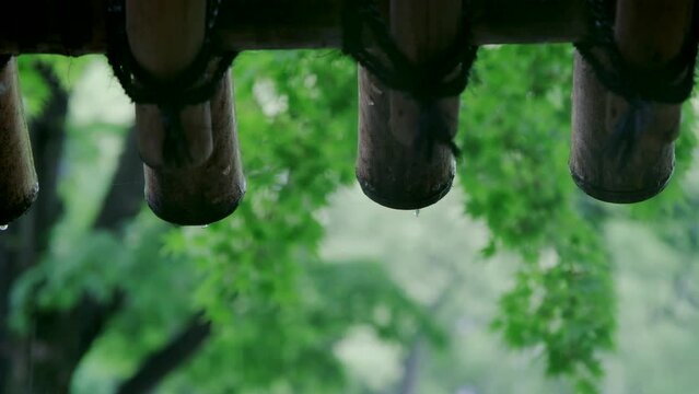 6月梅雨　雨の森林　雨粒の滴る竹の屋根・軒先　緑の木々　アジア・日本・季節の背景