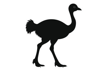 Obraz premium Silhouette of a little ostrich walking vector design