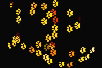 Green glitter cat paw bokeh sequin confetti on black background