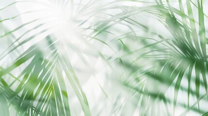palm leaves in a blurred  green and gray, delicate floral, organic, fluid lines on white background