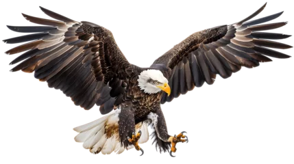 Fotobehang eagle landing isolated on transparent background © Emma