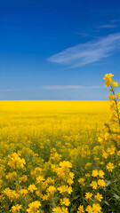 Obraz premium Field of yellow flowers on a background of blue sky with clouds. Generative AI