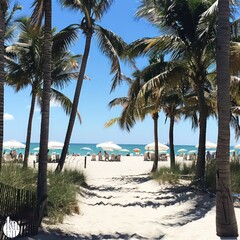 white sand beach, south beach in summer sunny days