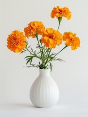 marigolds in a white vase on a white background