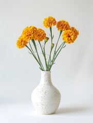 marigolds in a white vase on a white background