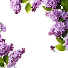  Frame with purple lilac flowers, isolated on transparent background. Generative AI.