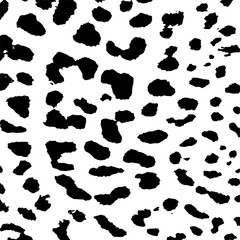 
Leopard skin texture. Black and white image. Stylization.