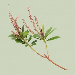 Leaf closeup shot, green background