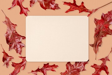 Blank beige card, autumn red oak leaf frame flat lay design
