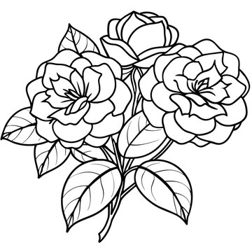 recommend clip art: Camellia Flower Bouquet outline illustration coloring book page design, Camellia Flower Bouquet black and white line art drawing coloring book pages for children and adults