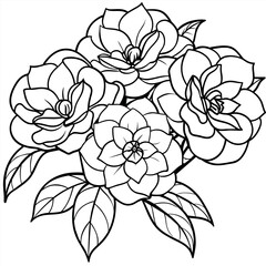 Camellia Flower Bouquet outline illustration coloring book page design, Camellia Flower Bouquet black and white line art drawing coloring book pages for children and adults