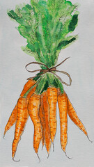 Carrot on white background, watercolor illustration.  Watercolor  vegetables set: carrot on white. Set of bunch ripe carrots. Watercolor bright hand-drawn illustration isolated.