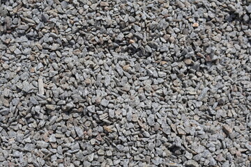 dobropark park nature tulips rest