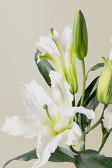 White lily background, design space